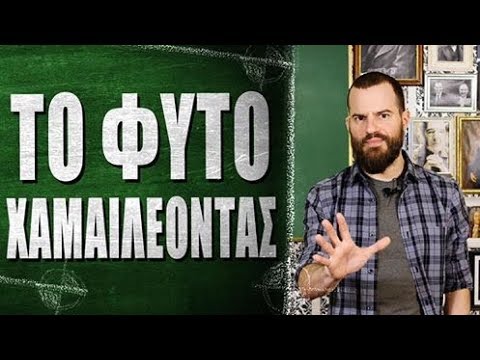 Το φυτό χαμαιλέοντας - What the Fact?! #43