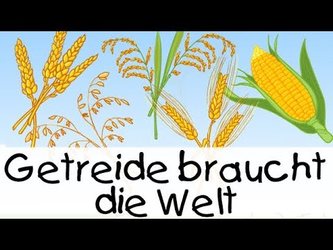 💡 Getreide braucht die Welt || Kinderlieder zum Lernen