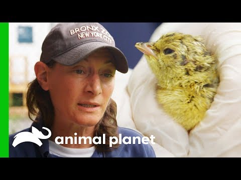 image-Who is Kathleen LaMattina?