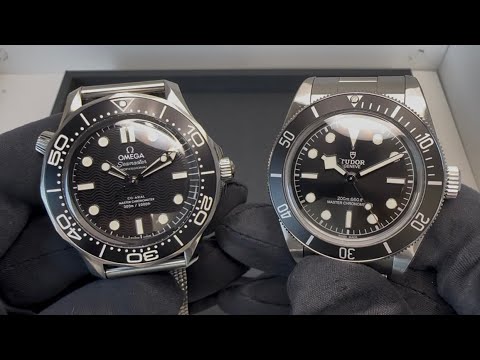 Omega Seamaster 300M or Tudor Black Bay Monochrome?
