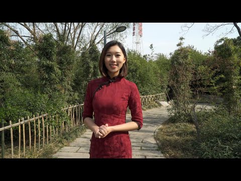 萬事順遂