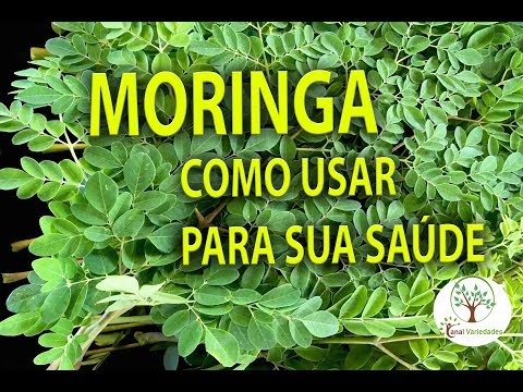 , title : 'Moringa em sua Casa, Aprenda como usar para sua Saúde'