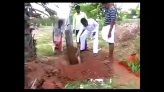 Monkey    Emotional Story   Must Watch