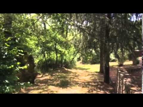 Video-Thumbnail von YouTube