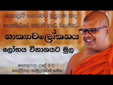 shakyawalokanaya  2022/02/26