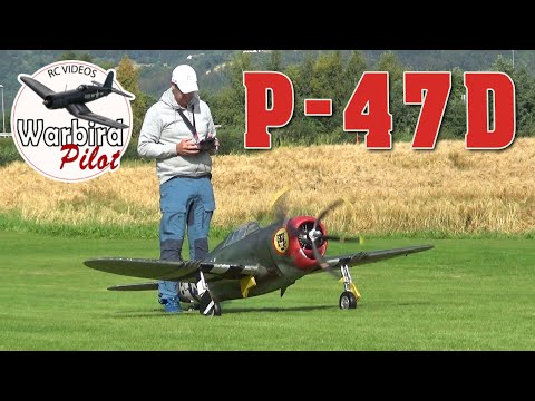 Warbird weekend 2022 Carf P-47D
