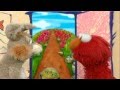 Elmo S World Speed Differences With Billy Bunny And The Tortoise
