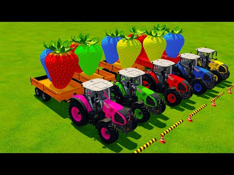 TRANSPORTATION COLORFUL STRAWBERRIES USING MINI RIGITRAC TRACTORS! - Farming Simulator 22