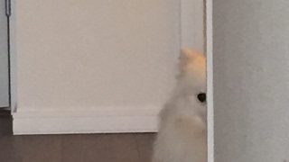 神のふぉとな