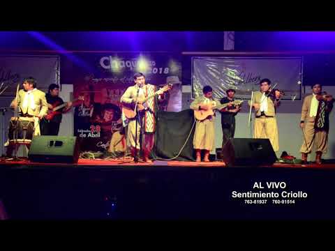 AL VIVO MUSICA CHAQUEÑA SENTIMIENTO CRIOLLO fiesta en el chaco ( chacarera )