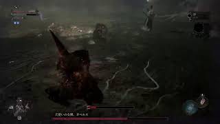 [Lord of the fallen] ピエタ強すぎました、、、