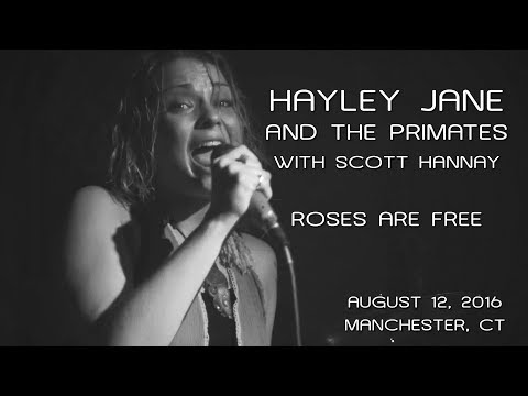Hayley Jane and The Primates w/Scott Hannay: Roses Are Free [4K] 2016-08-12 - Manchester, CT