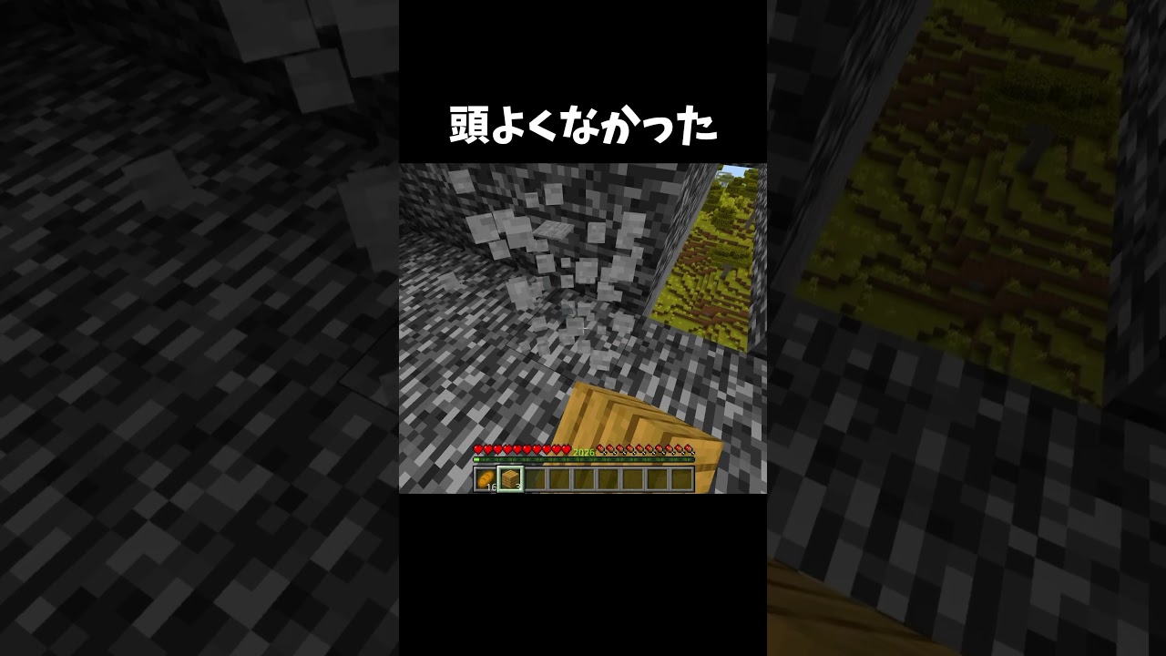 頭良くは無いみたい #マイクラ #shorts