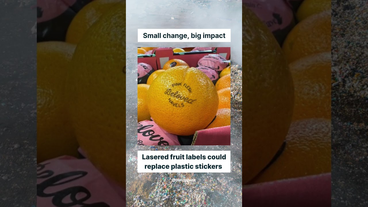 Lasered fruit to replace plastic stickers