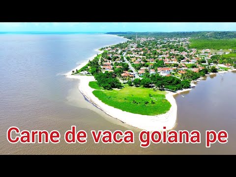 CARNE DE VACA GOIANA PERNAMBUCO BRASIL 