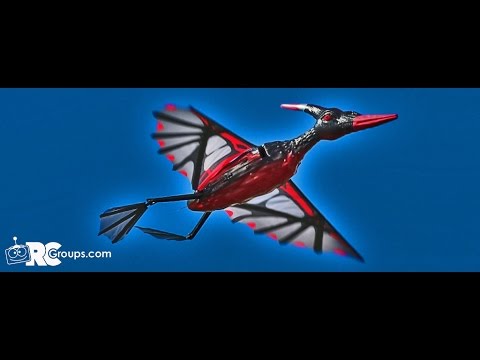 Rocsky Technology's RC Pterodactyl - RCGroups.com