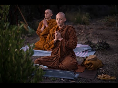 Looking Into This Dukkha | Ajahn Nyaniko