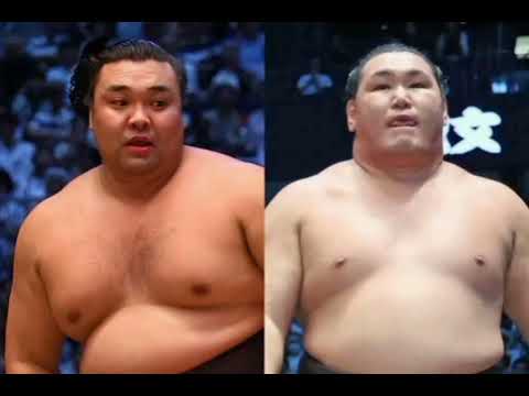 大相撲】豊昇龍が右ヒザのけがで夏巡業休場　名古屋場所は途中離脱＆横綱９場所で優勝なし