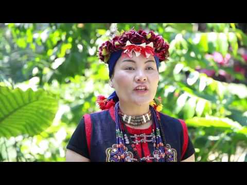 歌謠篇 - 中排灣語 01qulijicacengelaw 蜻蜓歌《傳唱篇》