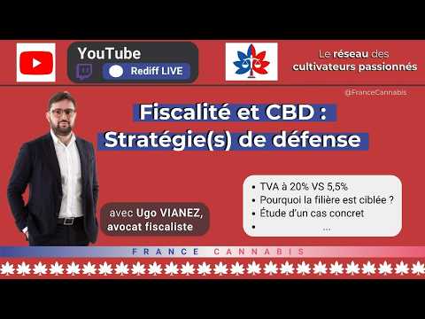 Fiscalité et CBD - Stratégies de Défense