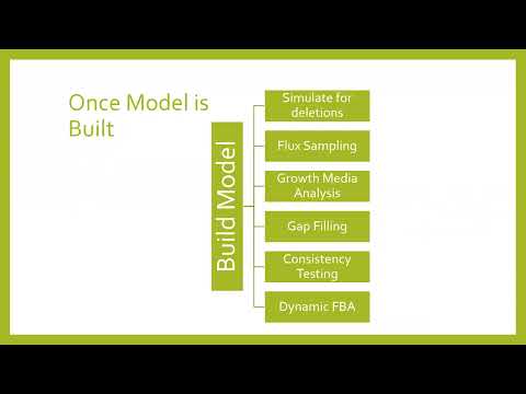 Basic Introduction to Genome Scale Modeling