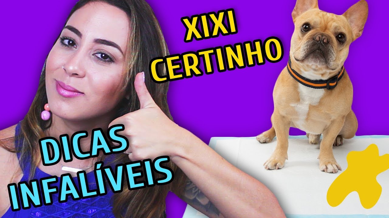 AGORA SEU CACHORRO VAI FAZER XIXI NO LUGAR CERTO!