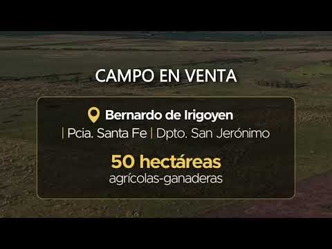 Bernardo de Irigoyen - 50 ha #agricultura