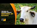 Curso Administração da Pequena Empresa Rural