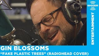 Gin Blossoms Perform &quot;Fake Plastic Trees&quot; (Radiohead Cover)