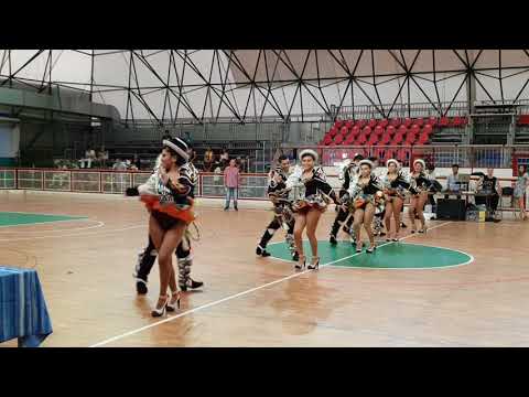 Sambos de corazon milano Caporal de Oro 2018