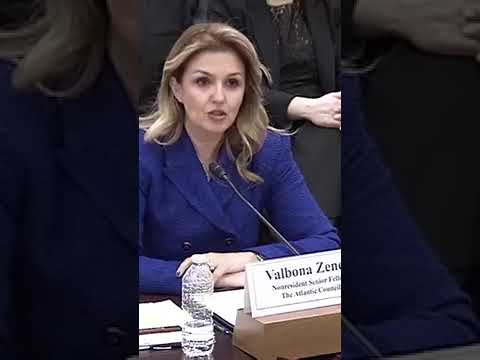 Valbona Zeneli on China’s exploitation of Europe’s openness and regulatory complexity