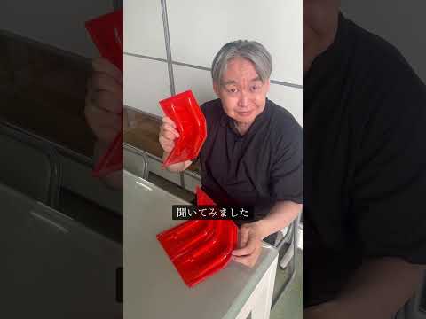 氷河工学で洪水に対抗する