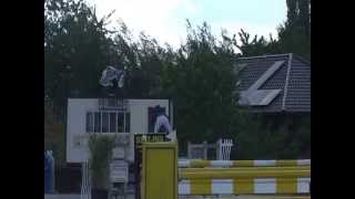 Video of Gin Duidam