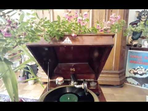 Paul Romby & seine Jazz Band  Auf einem Kaktus wächst doch keine Pflaume  Gram.21755 (1928)