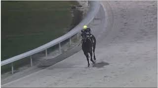 RACE 5 -DELTA DOWNS -USA -02 JAN 2026