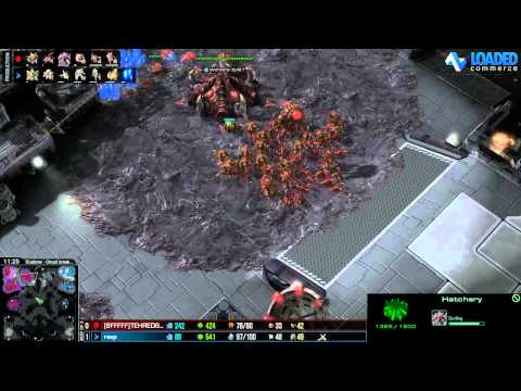 RSVP vs TEHREDBANDIT G2 - Starbow Showmatch Series