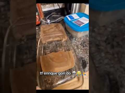 Enrique 🗣️🔥 #meme #memes #viral