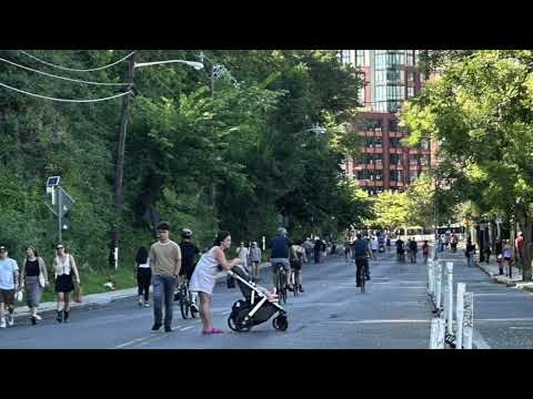 Hoboken Safe Streets