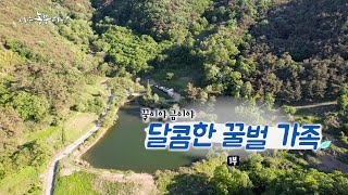 [198회_1부] 꿀이야 금이야 달콤한 꿀벌 가족