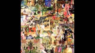 The Fresh & Onlys  - Arm's Advice