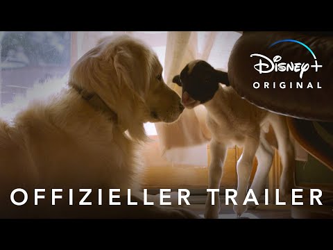 Trailer-Vorschau: Unsere große kleine Farm: Die Rückkehr