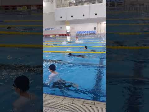 piscine-jardin-bel-eclairage-coin-detente