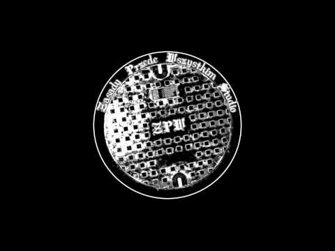 Lubię to kontrolować -  Siata/Przemus.wmv