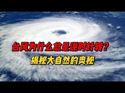 颱風 逆時針