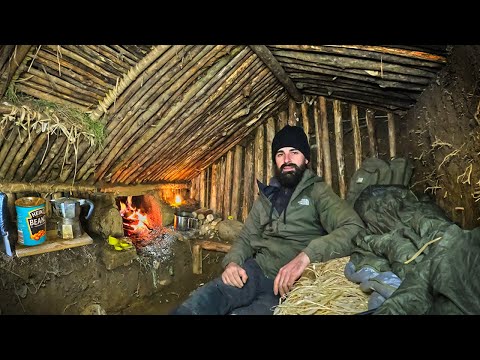 Solo Overnight in earth shelter | Bushcraft, cooking and walking in the boars forest!