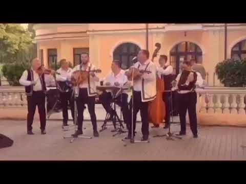 Petrecere autentică cu taraf (live)-Constantin și Cosmin Gaciu & Taraful Iancu Jianu