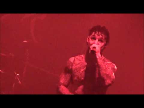 Murkocet--The Beginning