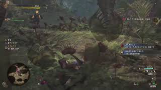 [MHW]厳選しますかぁ