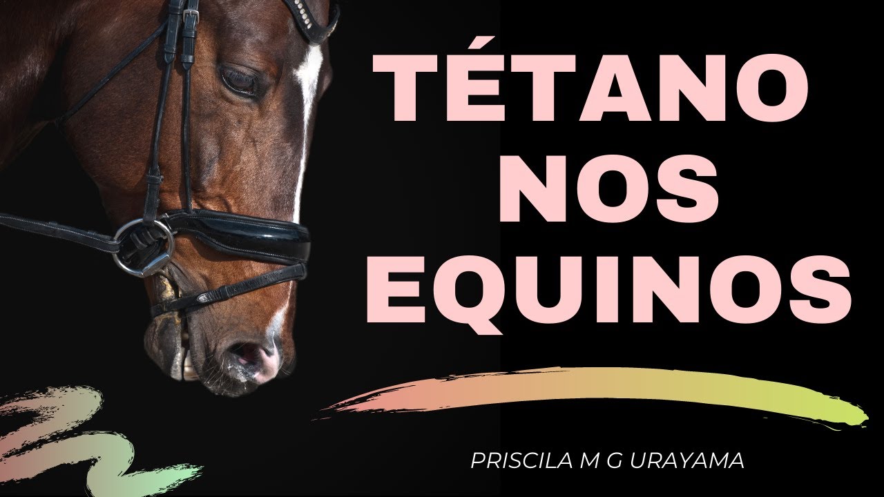 Tétano nos equinos