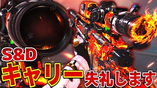 凸砂欲を抑えればサーチは余裕です。【CODモバイルスナイパー実況】